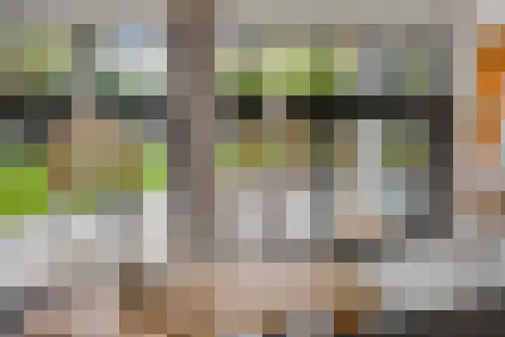 Beukenweg 5 Kampen thumbnail 38