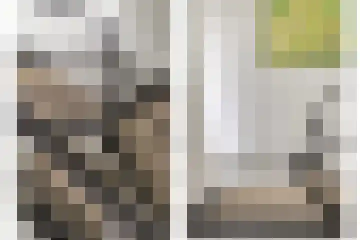 Beukenweg 5 Kampen thumbnail 5