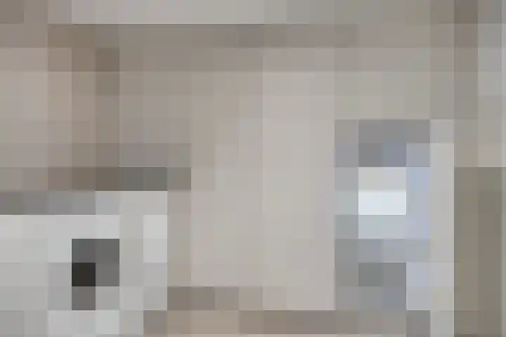 Beukenweg 5 Kampen thumbnail 53