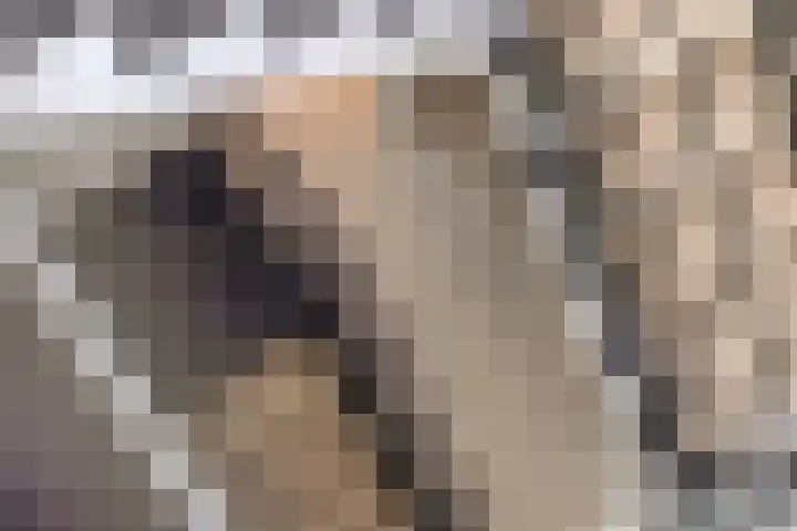 Beukenweg 5 Kampen thumbnail 62