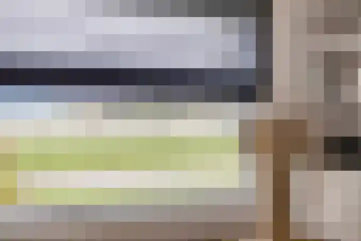 Beukenweg 5 Kampen thumbnail 67