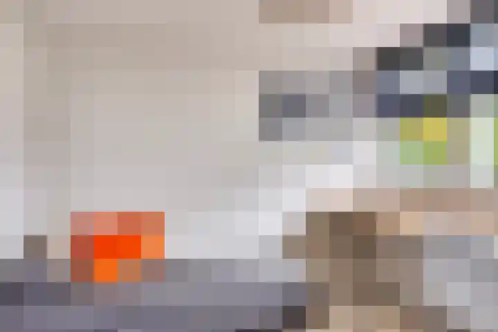 Beukenweg 5 Kampen thumbnail 69