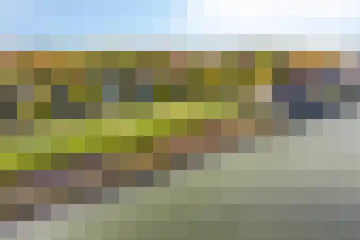 Beukenweg 5 Kampen thumbnail 7
