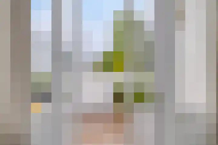 Beukenweg 5 Kampen thumbnail 72