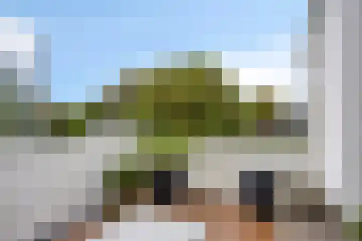 Beukenweg 5 Kampen thumbnail 74