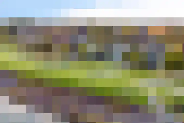 Beukenweg 5 Kampen thumbnail 8