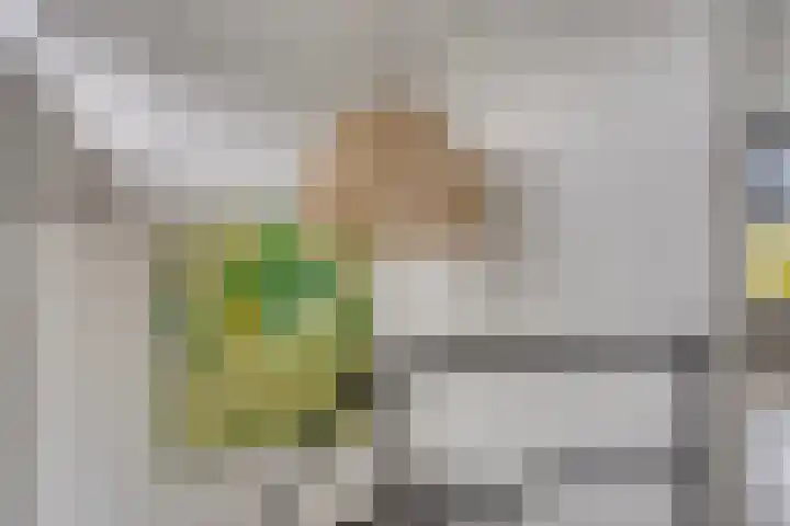 Beukenweg 5 Kampen thumbnail 81