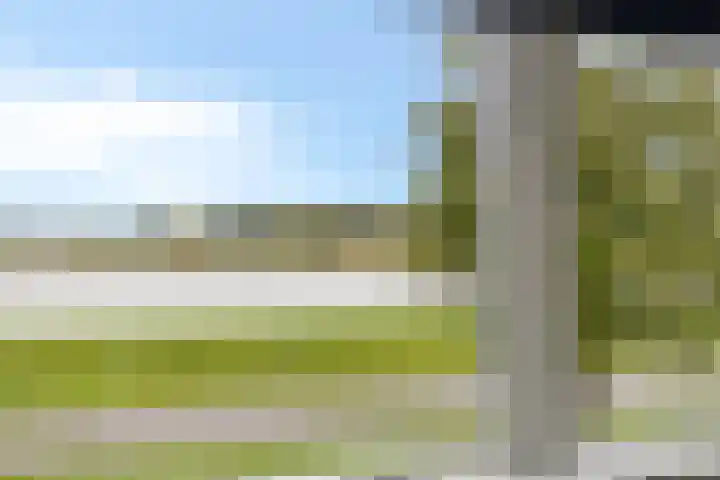Beukenweg 5 Kampen thumbnail 84