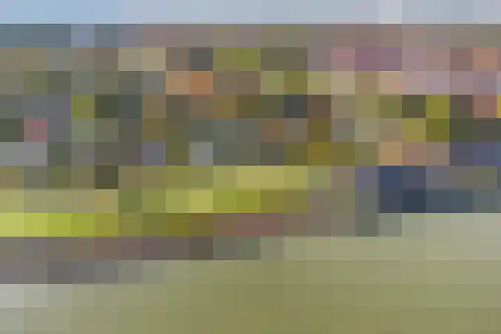 Beukenweg 5 Kampen thumbnail 9
