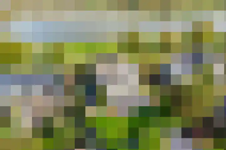 Beukenweg 5 Kampen thumbnail 94