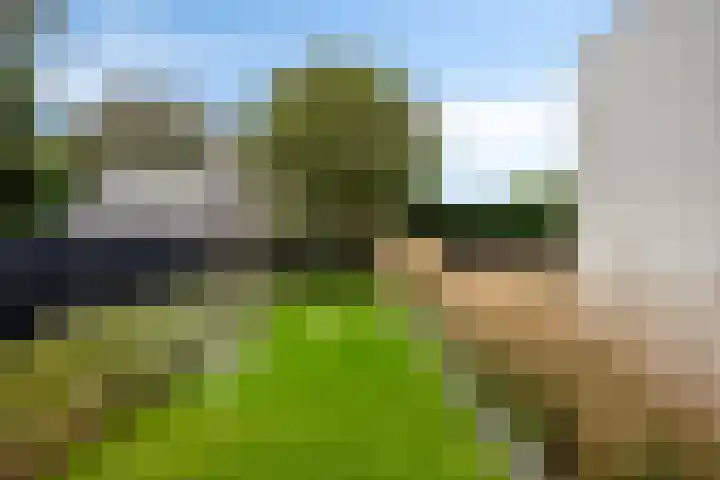 Beukenweg 5 Kampen thumbnail 99