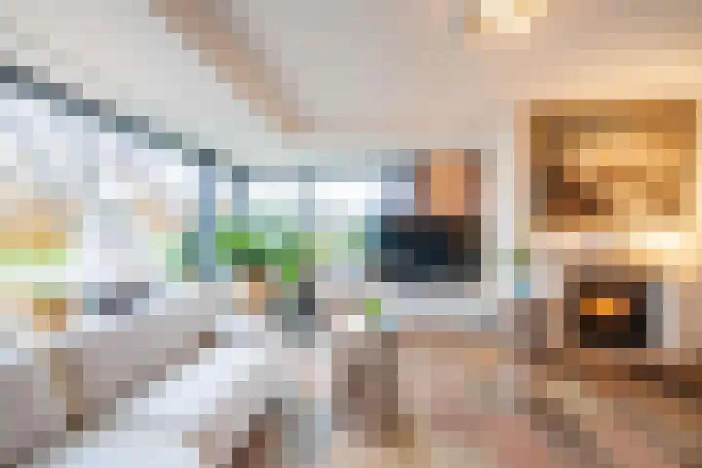 Beukenweg 6 Kampen thumbnail 10