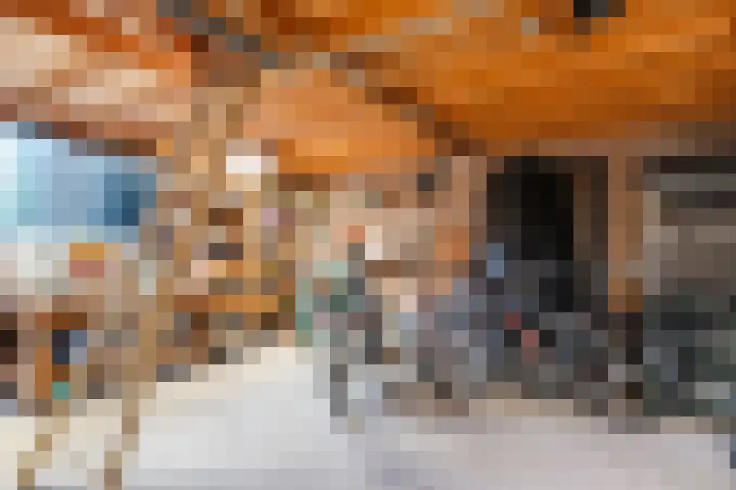 Beukenweg 6 Kampen thumbnail 60