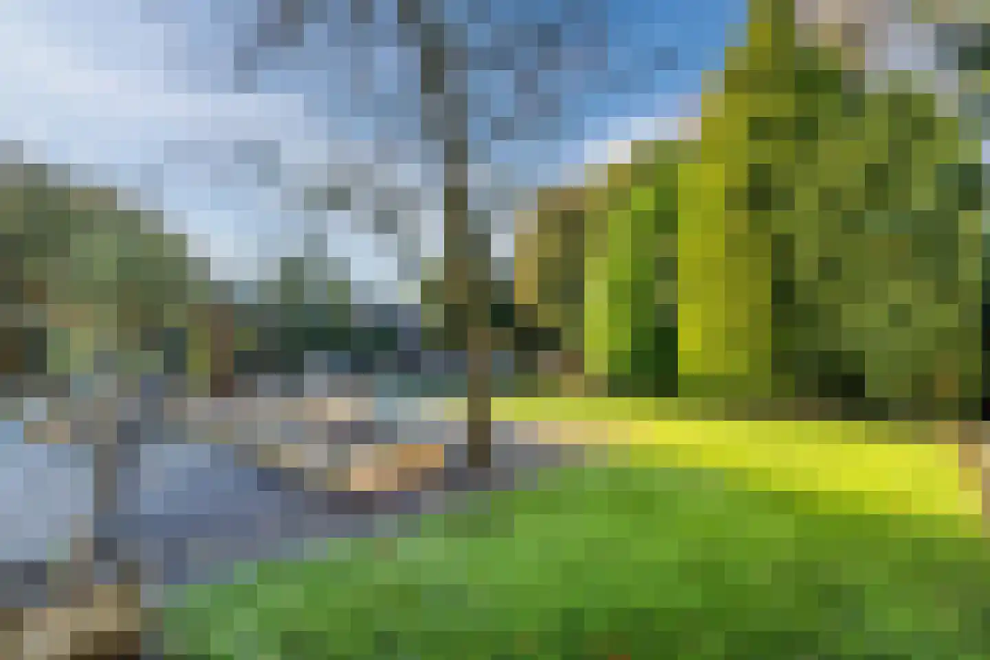Beukenweg 6 Kampen thumbnail 64