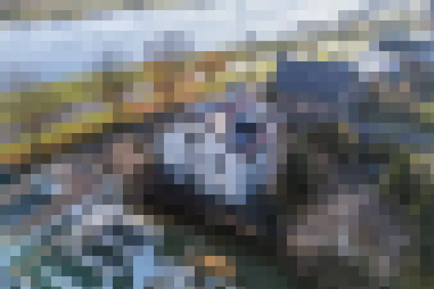 Beukenweg 6 Kampen thumbnail 65