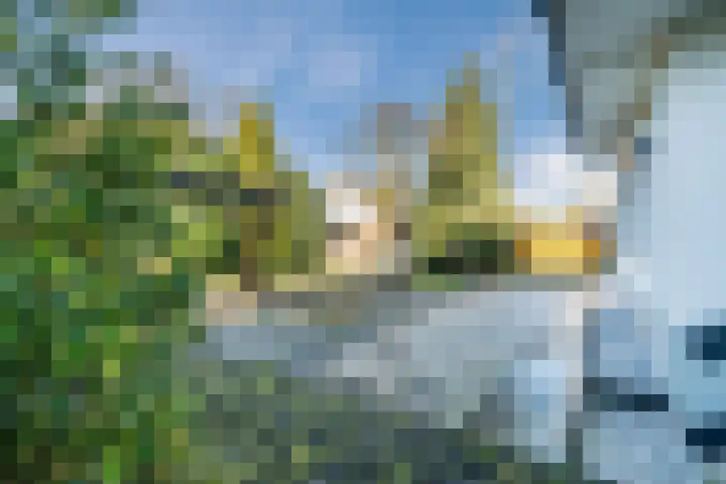Beukenweg 6 Kampen thumbnail 66