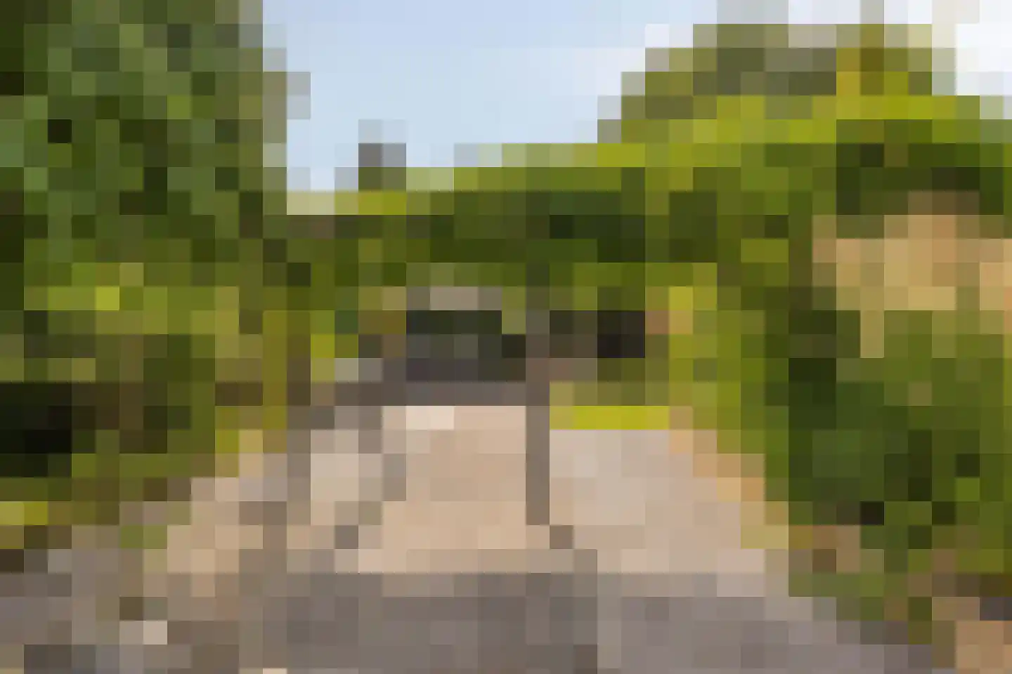 Beukenweg 6 Kampen thumbnail 67