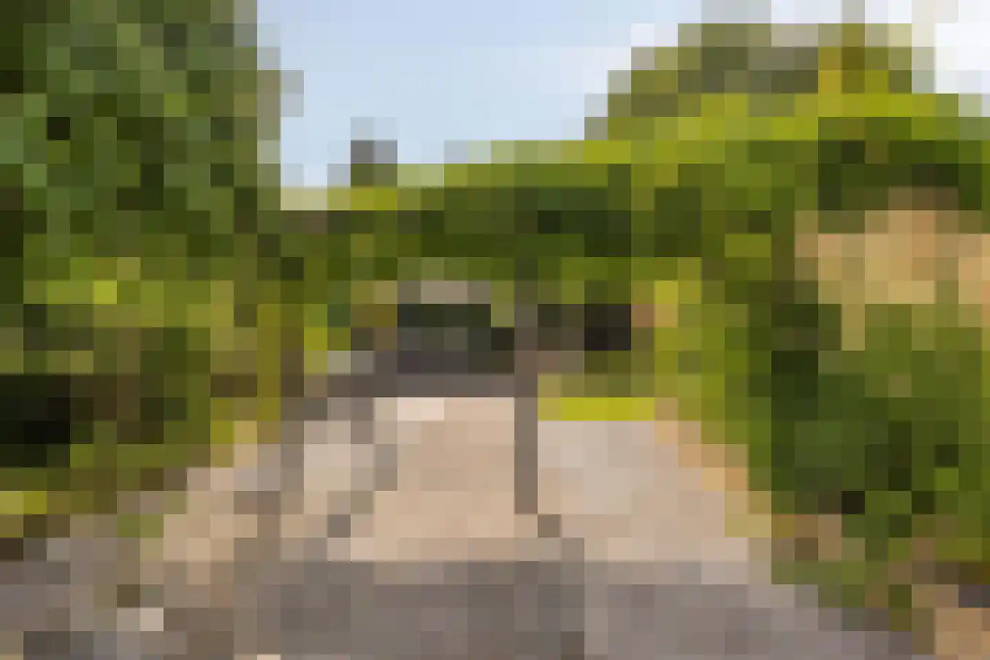 Beukenweg 6 Kampen thumbnail 67