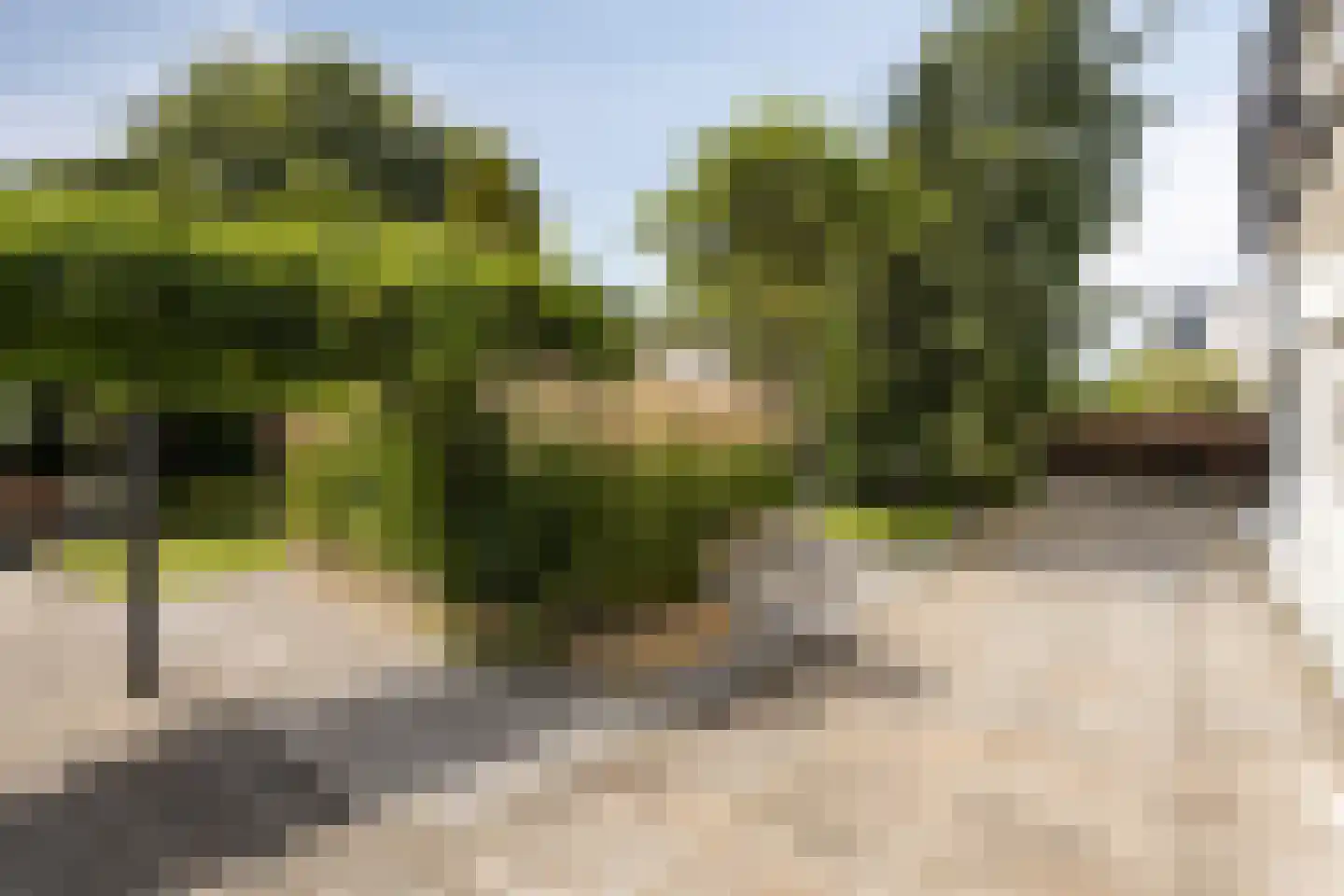 Beukenweg 6 Kampen thumbnail 68