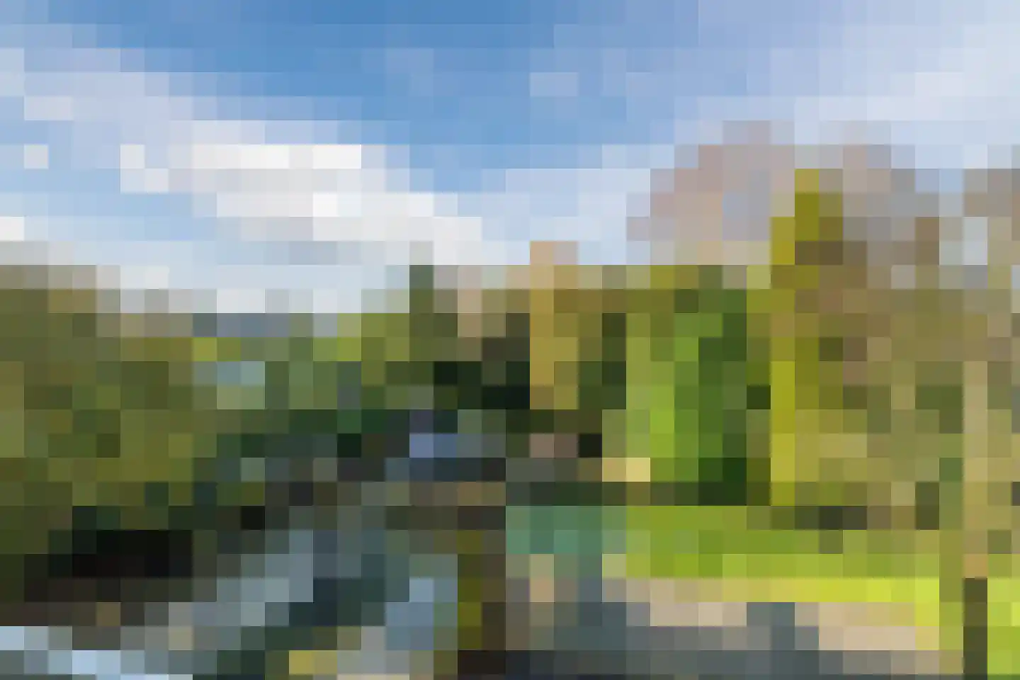 Beukenweg 6 Kampen thumbnail 69