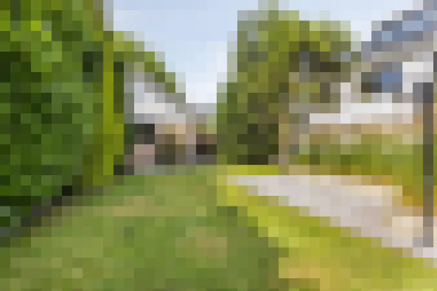 Beukenweg 6 Kampen thumbnail 72
