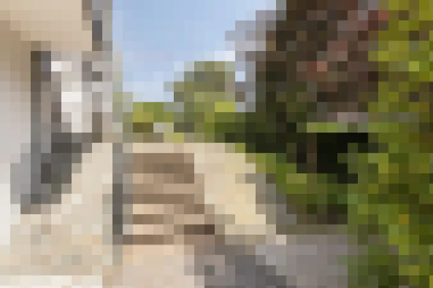 Beukenweg 6 Kampen thumbnail 73
