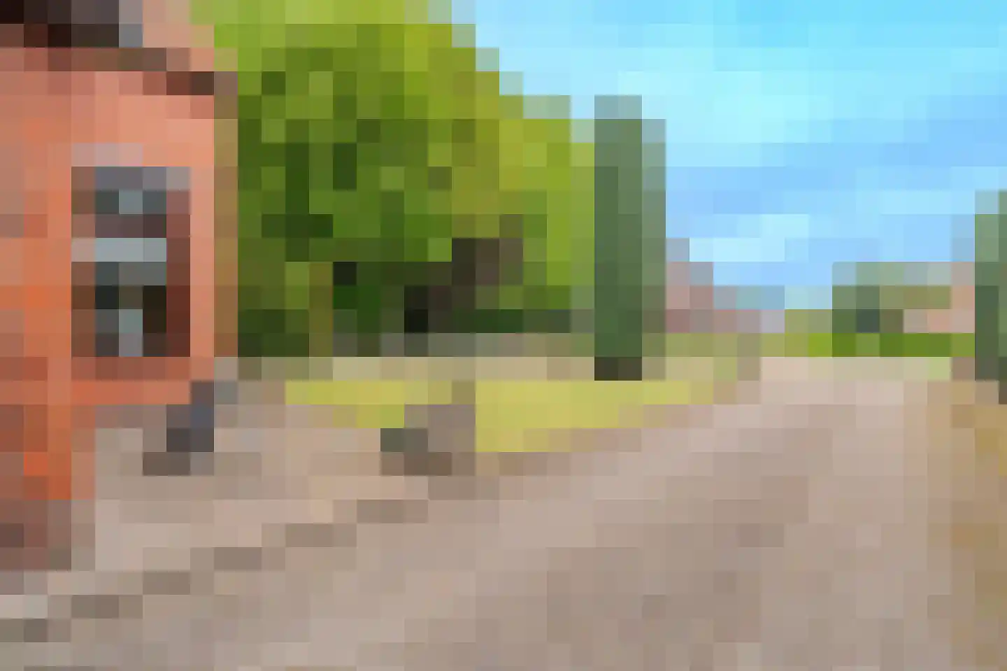 Beukenweg 7 Onstwedde thumbnail 11