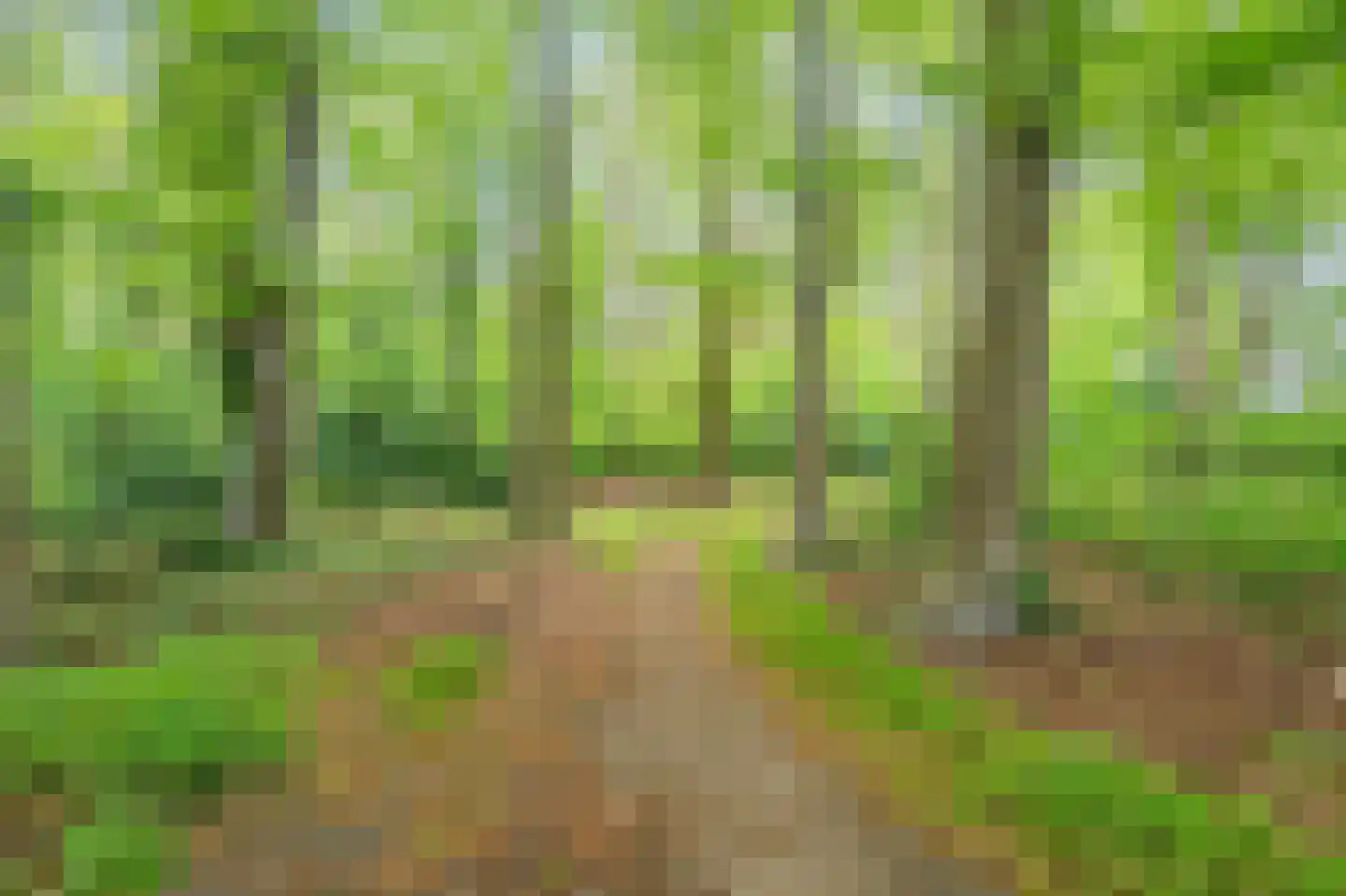 Beukenweg 7 Onstwedde thumbnail 13