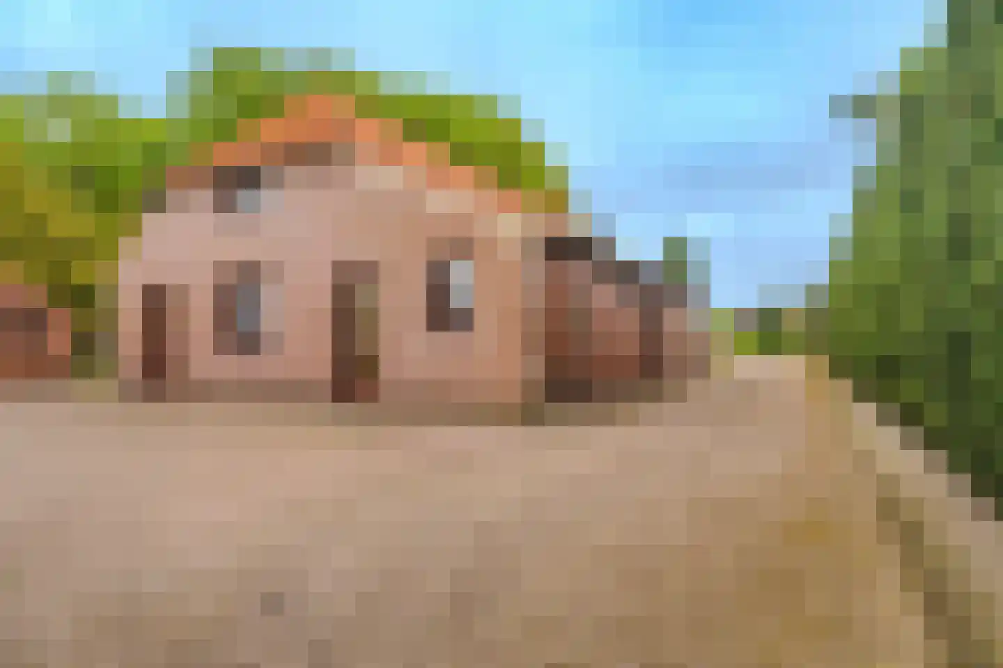 Beukenweg 7 Onstwedde thumbnail 14