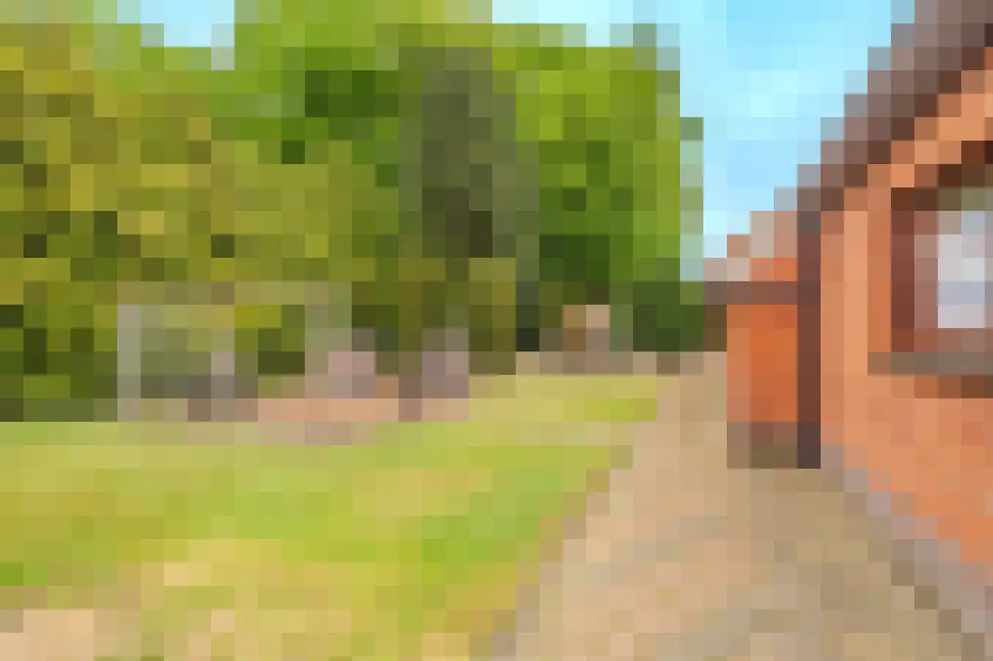 Beukenweg 7 Onstwedde thumbnail 23