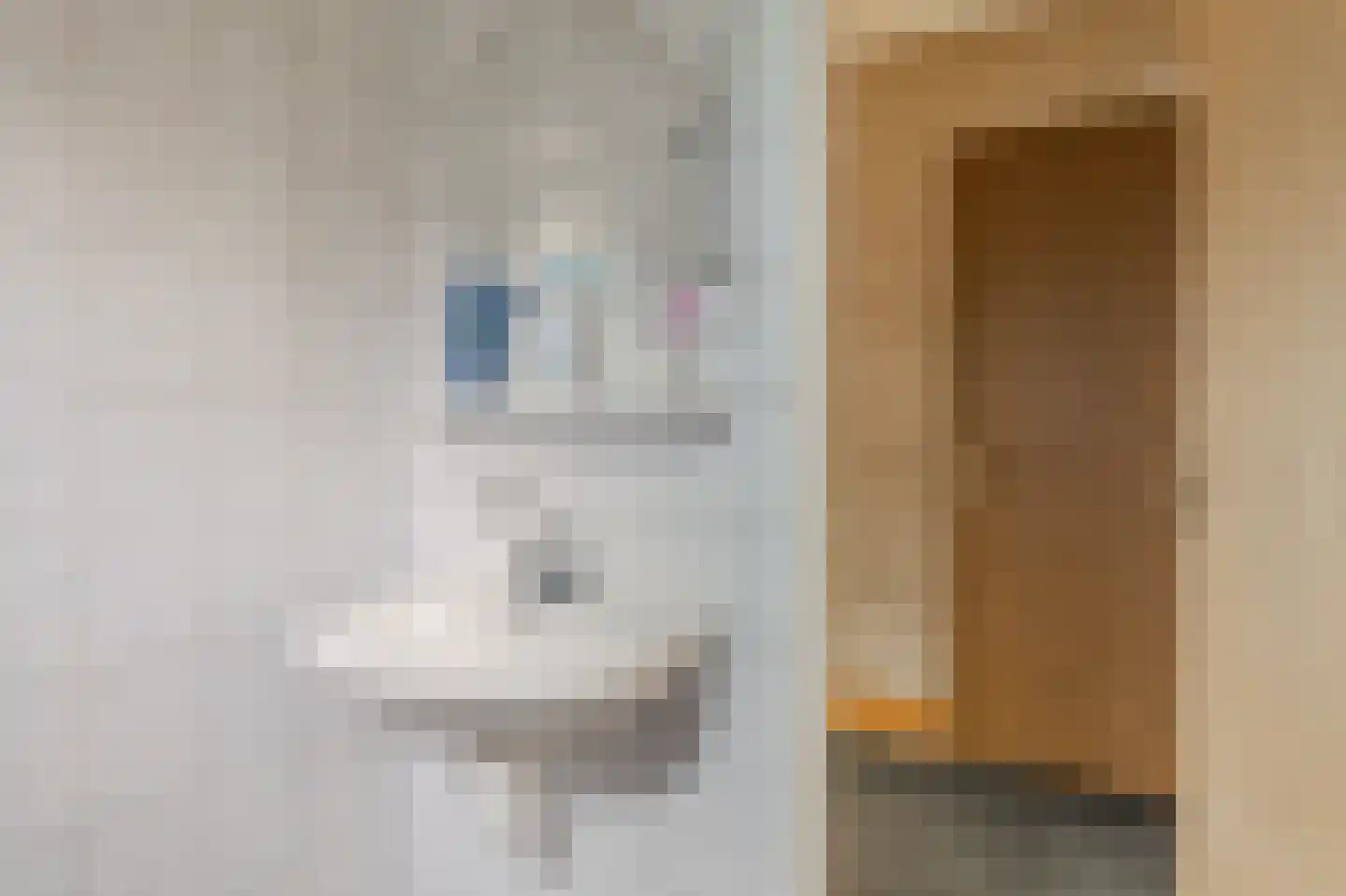 Beukenweg 7 Onstwedde thumbnail 36