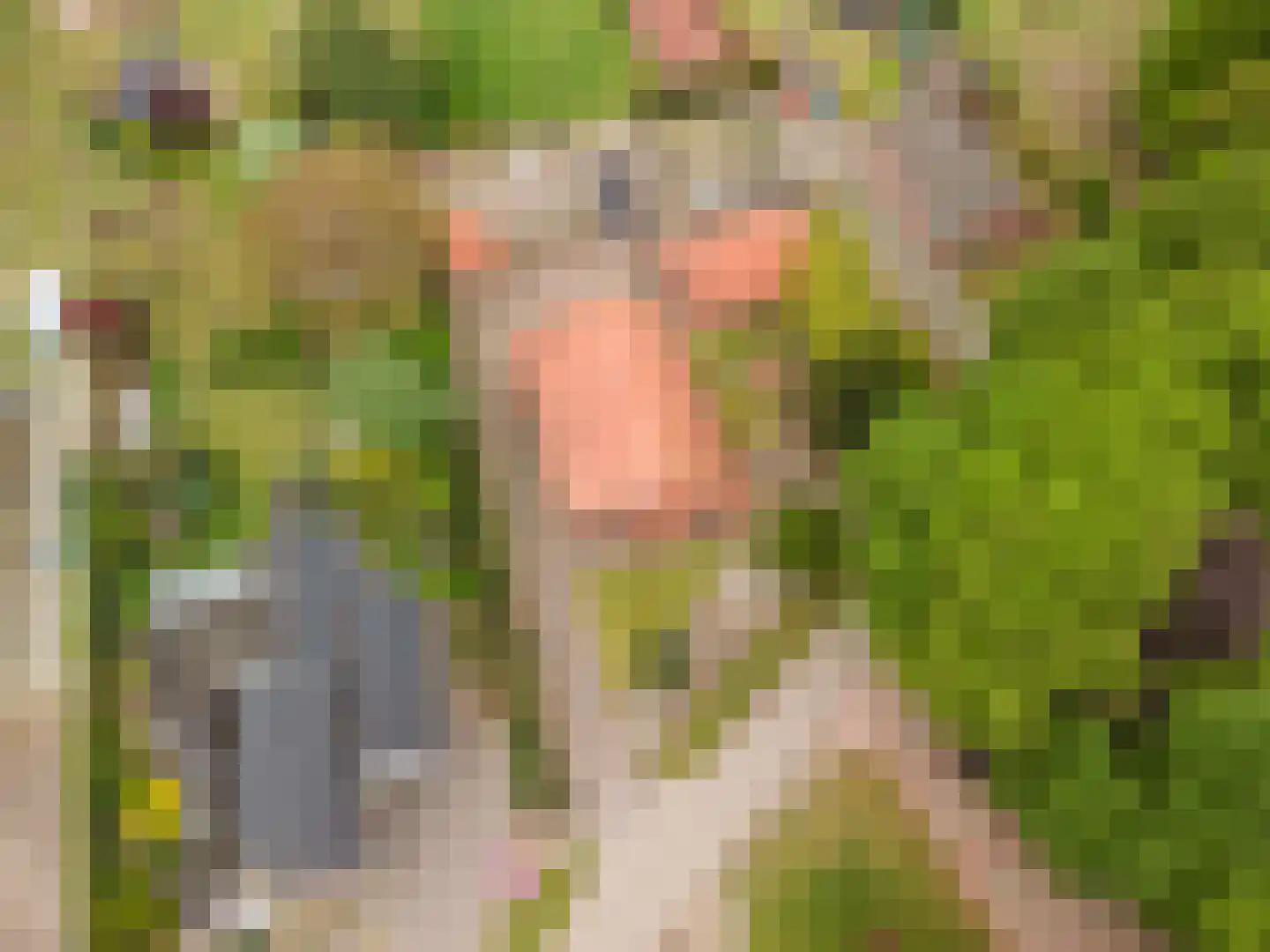 Beukenweg 7 Onstwedde thumbnail 4
