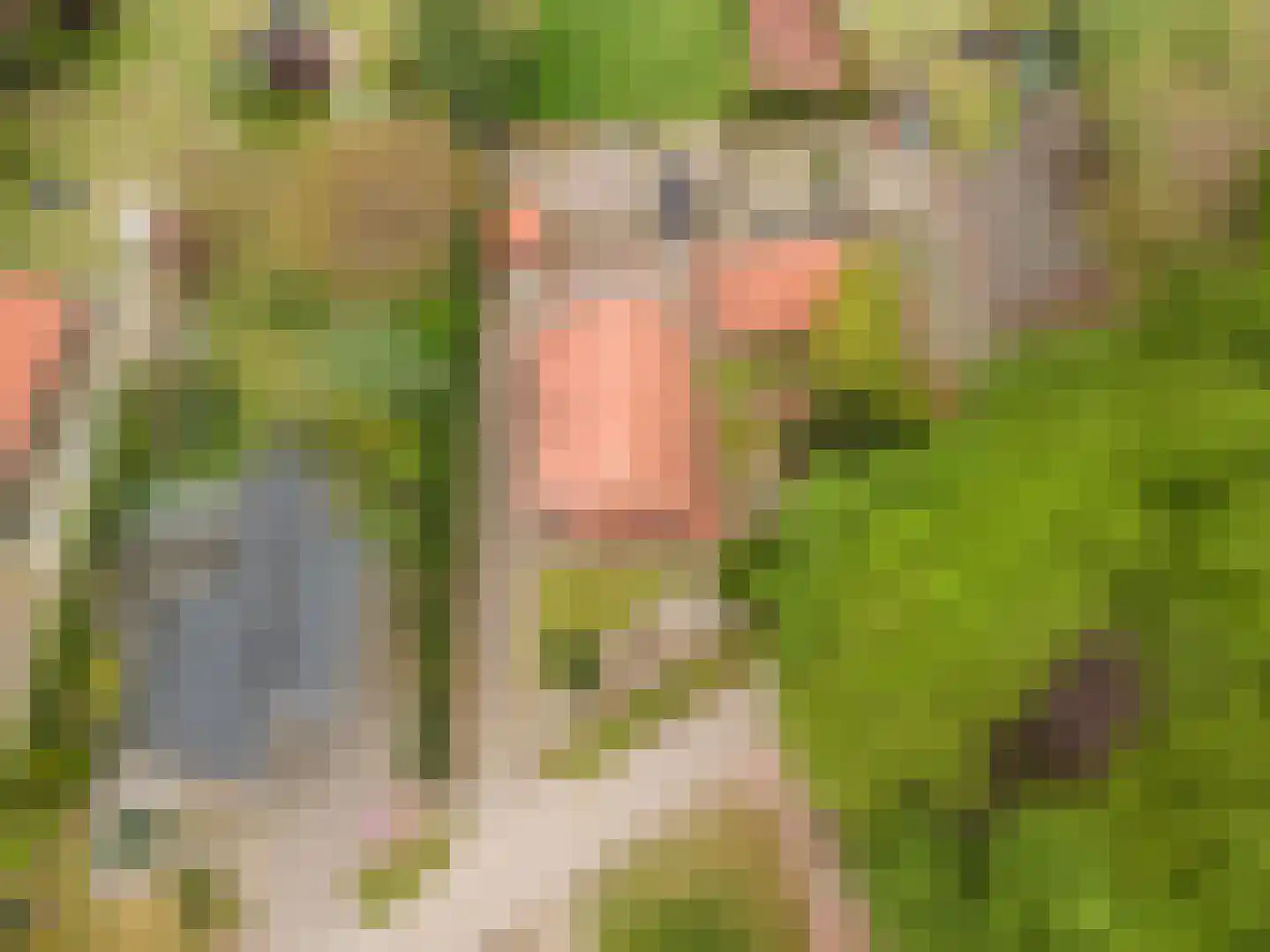 Beukenweg 7 Onstwedde thumbnail 5
