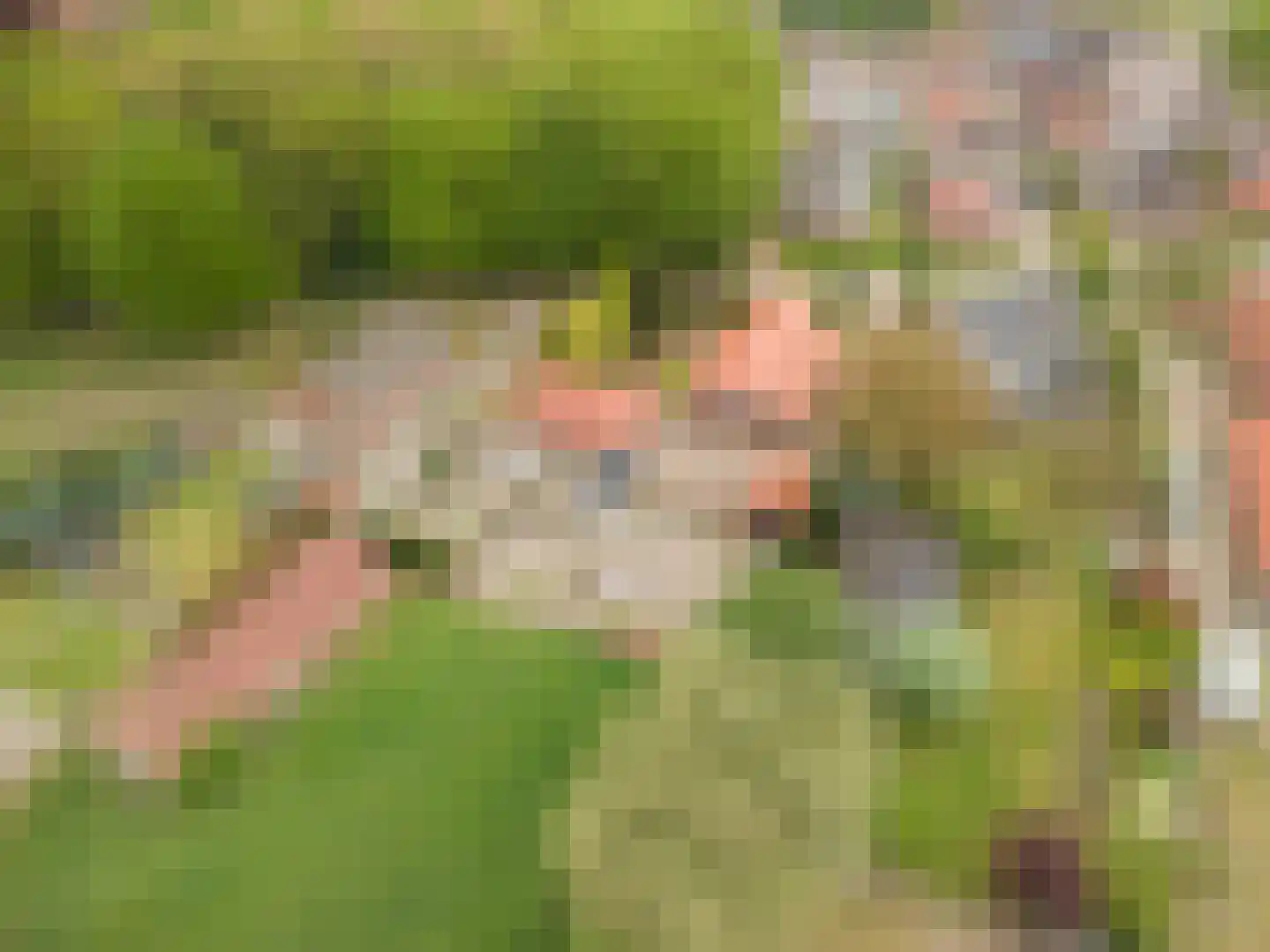 Beukenweg 7 Onstwedde thumbnail 6