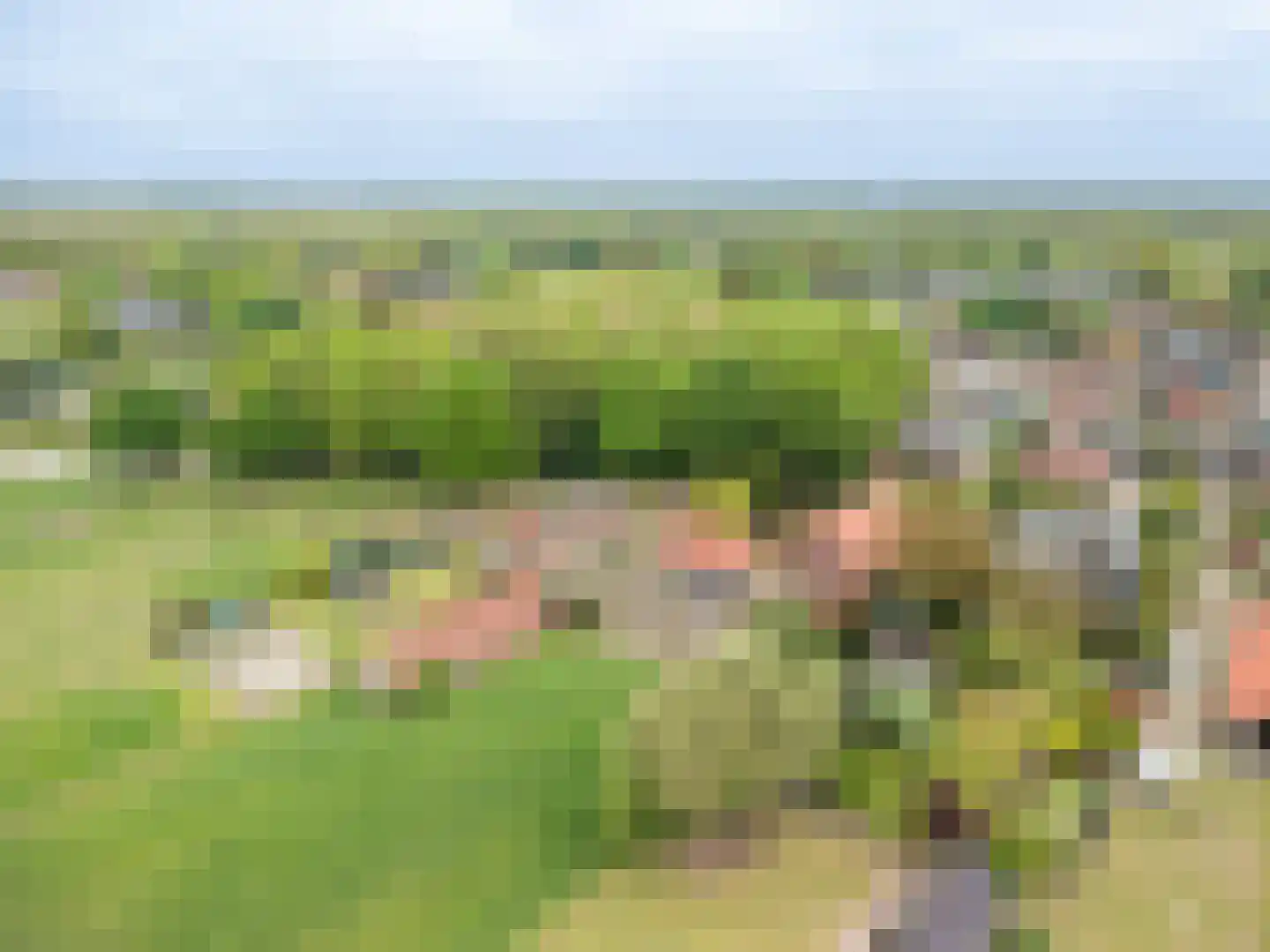 Beukenweg 7 Onstwedde thumbnail 7