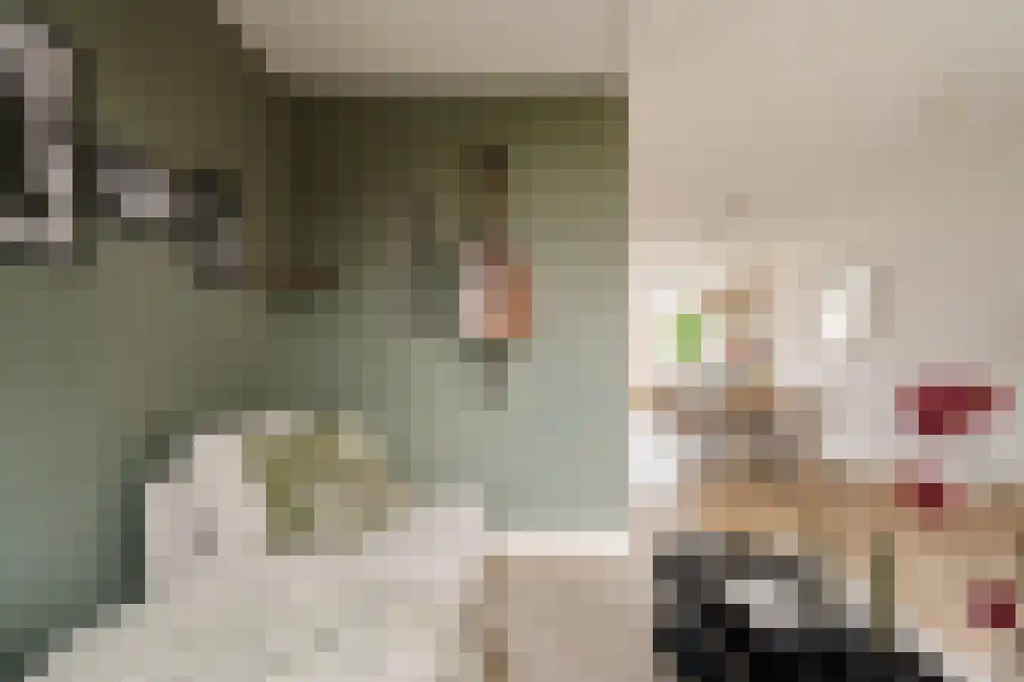 Beukenweg 8 3 Amsterdam thumbnail 17