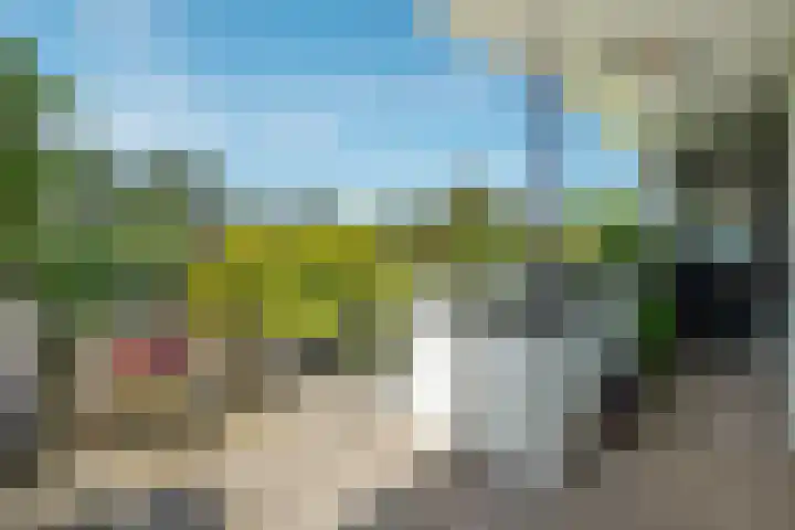 Beukenweg 8 Kampen thumbnail 43