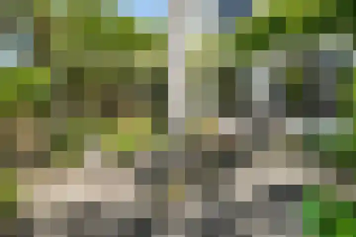 Beukenweg 8 Kampen thumbnail 46
