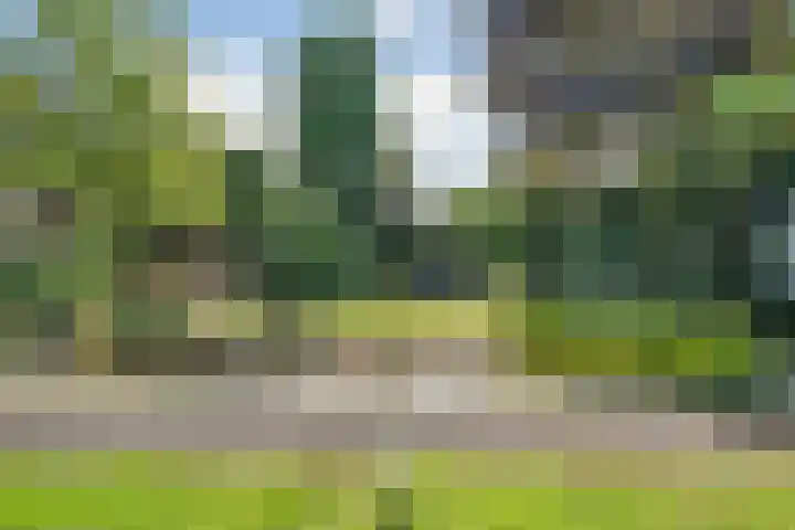 Beukenweg 8 Kampen thumbnail 48