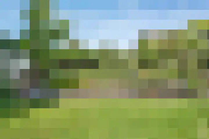 Beukenweg 8 Kampen thumbnail 51