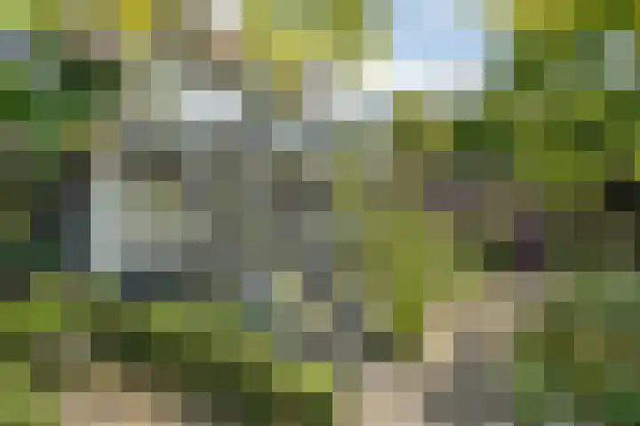 Beukenweg 8 Kampen thumbnail 52