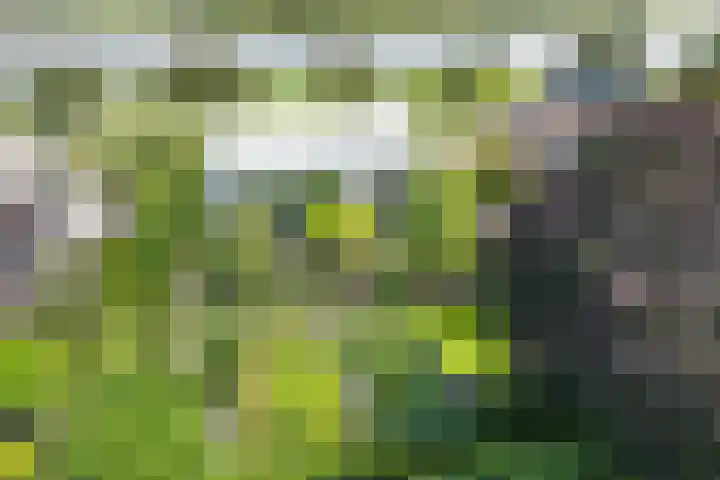 Beukenweg 8 Kampen thumbnail 53