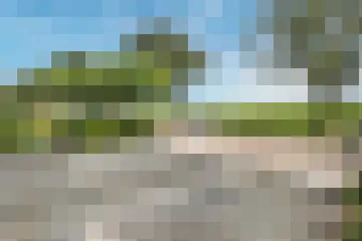Beukenweg 8 Kampen thumbnail 6