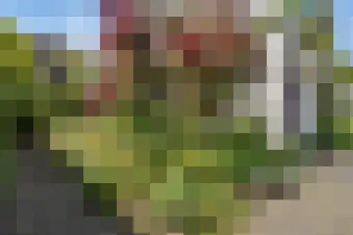 Beukenweg 8 Kampen thumbnail 7