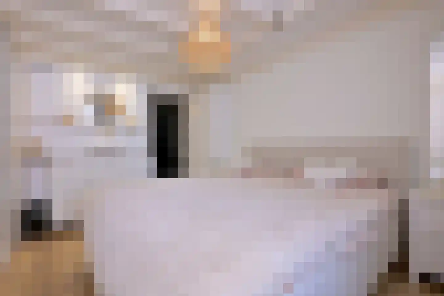 Beukerstraat 83 Zutphen thumbnail 14