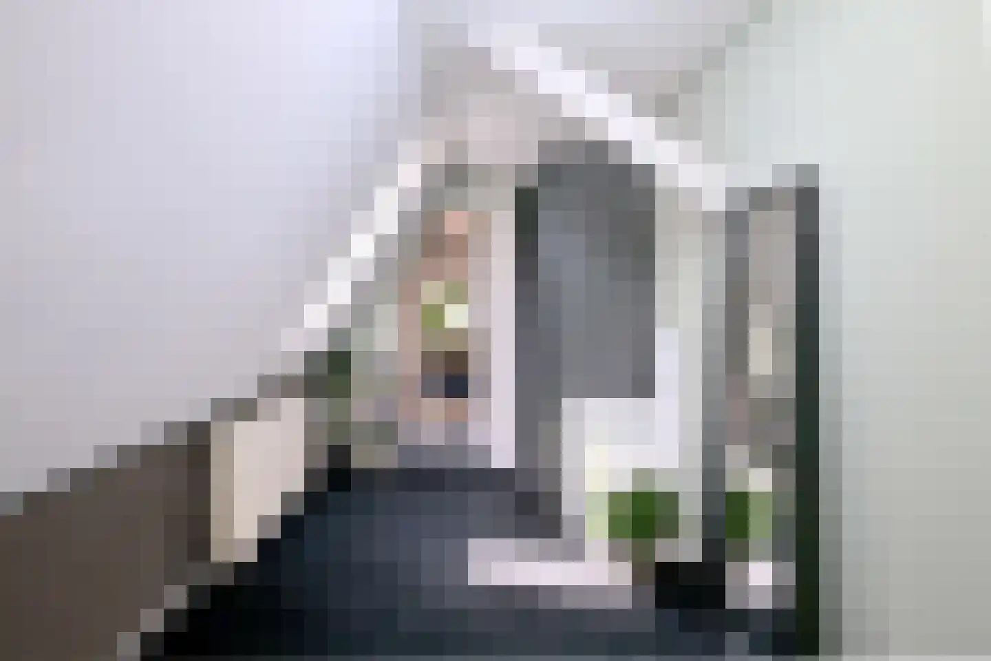 Beukerstraat 83 Zutphen thumbnail 25