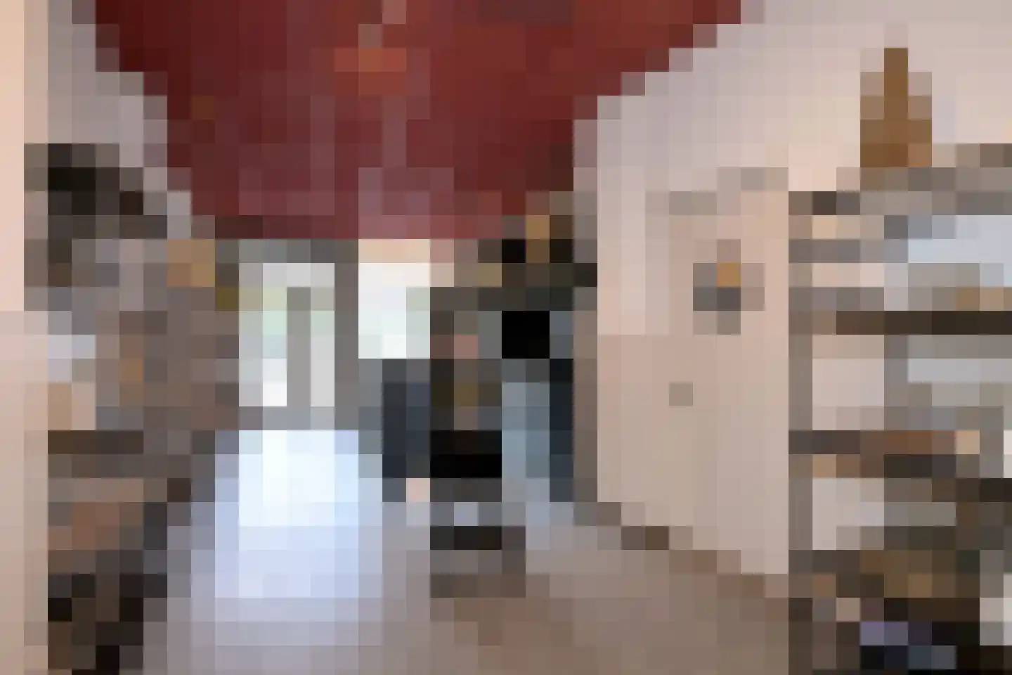 Beukerstraat 83 Zutphen thumbnail 38
