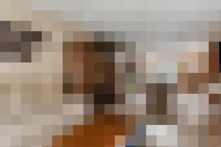 Beukestraat 28 Krommenie thumbnail 13