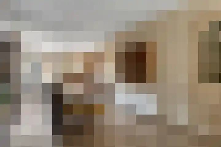 Beukestraat 28 Krommenie thumbnail 14