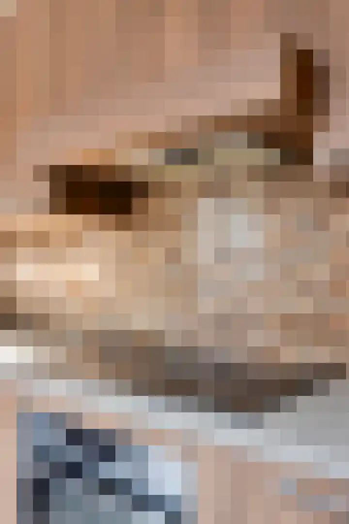 Beukestraat 28 Krommenie thumbnail 18